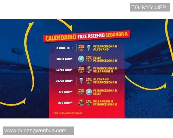 成都足球队整体压制战术解析及其在比赛中的应用与效果分析